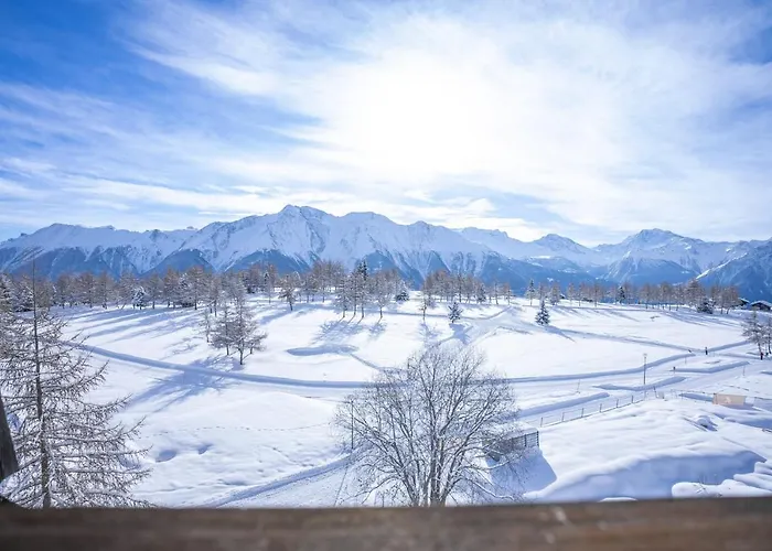 Valaisia 49 Appartement Riederalp