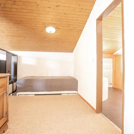 Valaisia 49 * Riederalp